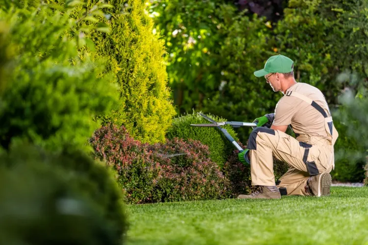 Extérieur et jardin